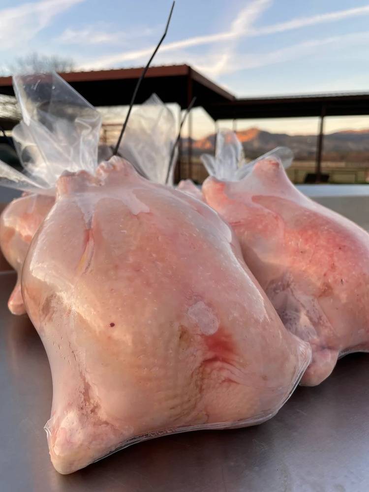 Whole chicken ~ 1.5Kg +